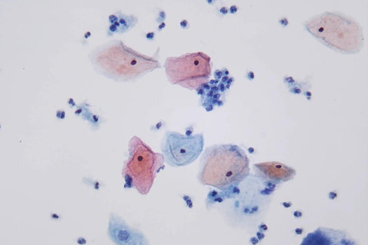 40x Infinity Plan Objective - LW Scientific