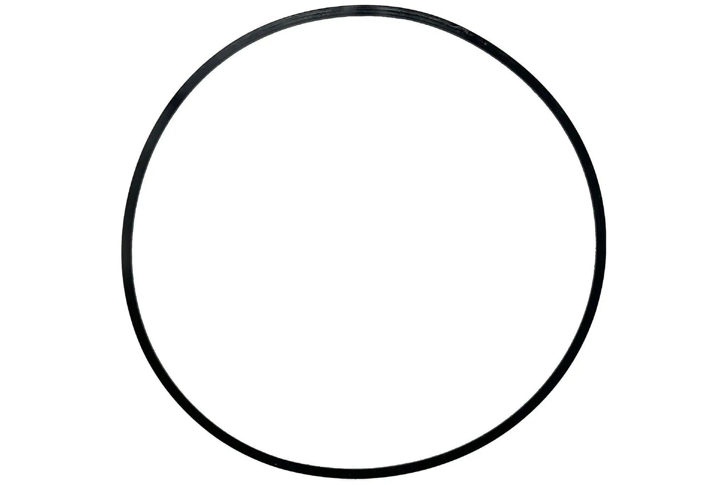 Rotor Gasket for MX12 Centrifuge - LW Scientific