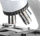 Close-up view of LW Scientific i4 microscope with Plan objectives.