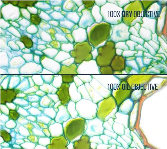 100x Infinity Plan DRY Objective - LW Scientific