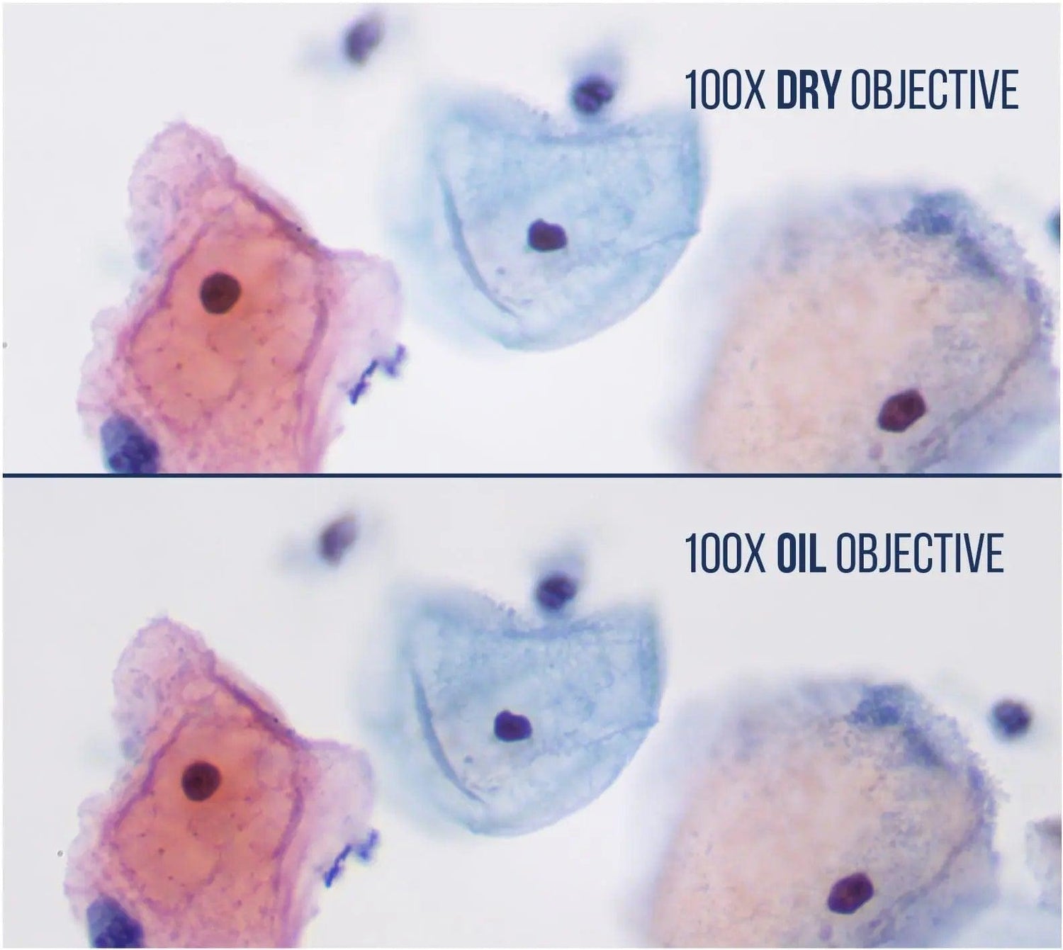 100x Infinity Plan DRY Objective - LW Scientific