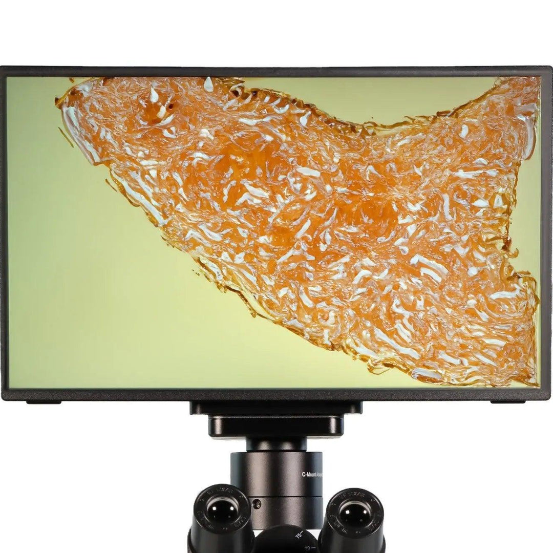 13.3" Camera Screen Monitor - LW Scientific