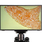 13.3" Camera Screen Monitor - LW Scientific