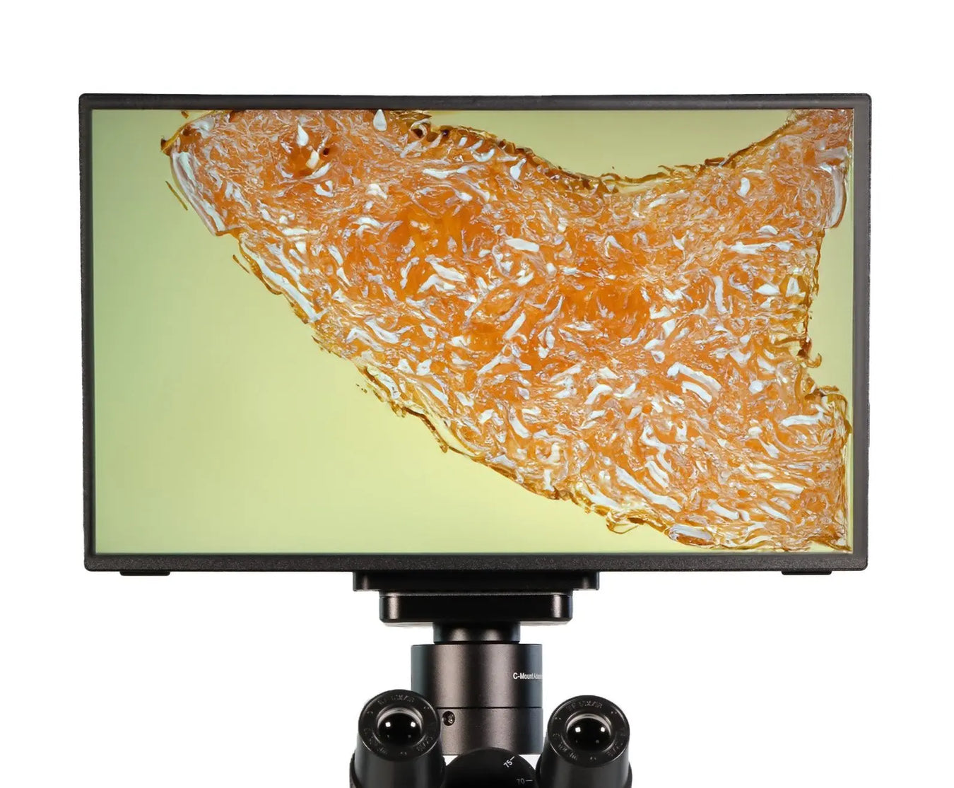 13.3" Camera Screen Monitor - LW Scientific
