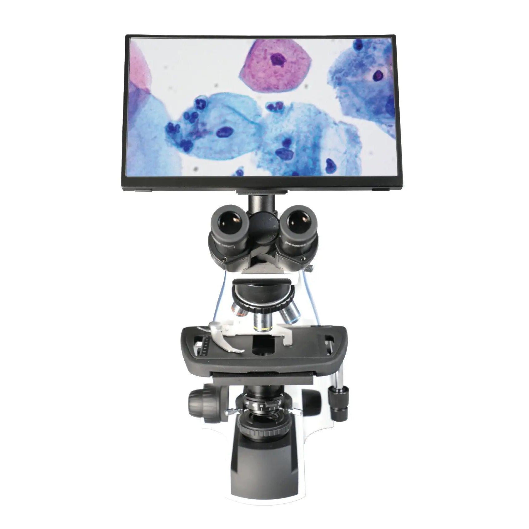 BioVID 1080+ Camera and 13" Monitor - LW Scientific