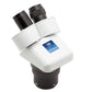 DM Dual Mag 1x3 Head - LW Scientific