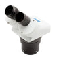 DM Dual Mag 1x3 Head - LW Scientific