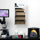 Incubators - LW Scientific