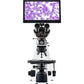 Innovation Lumin Epi-Fluorescence Microscope - LW Scientific