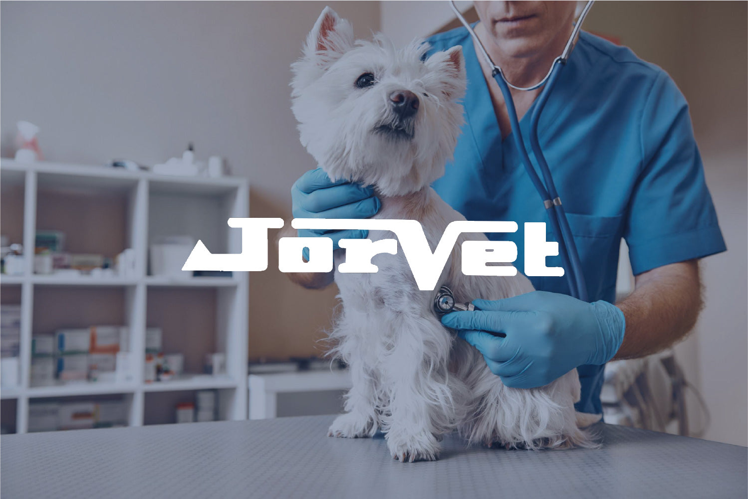 Why Are We Better? LW Scientific