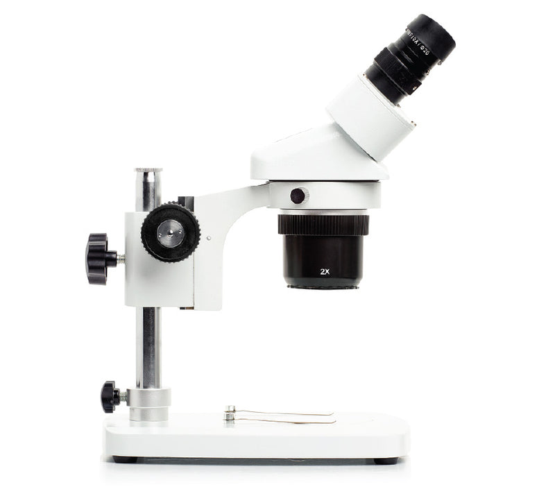 DM Dual Mag Stereoscope Series